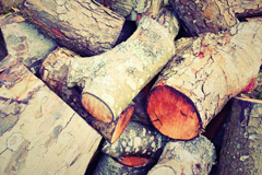Rhiews wood burning boiler costs